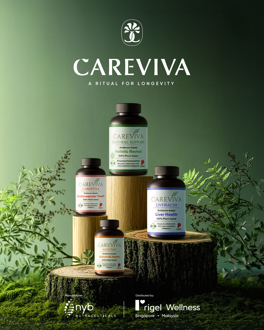 CareViva 12-Month Subcription
