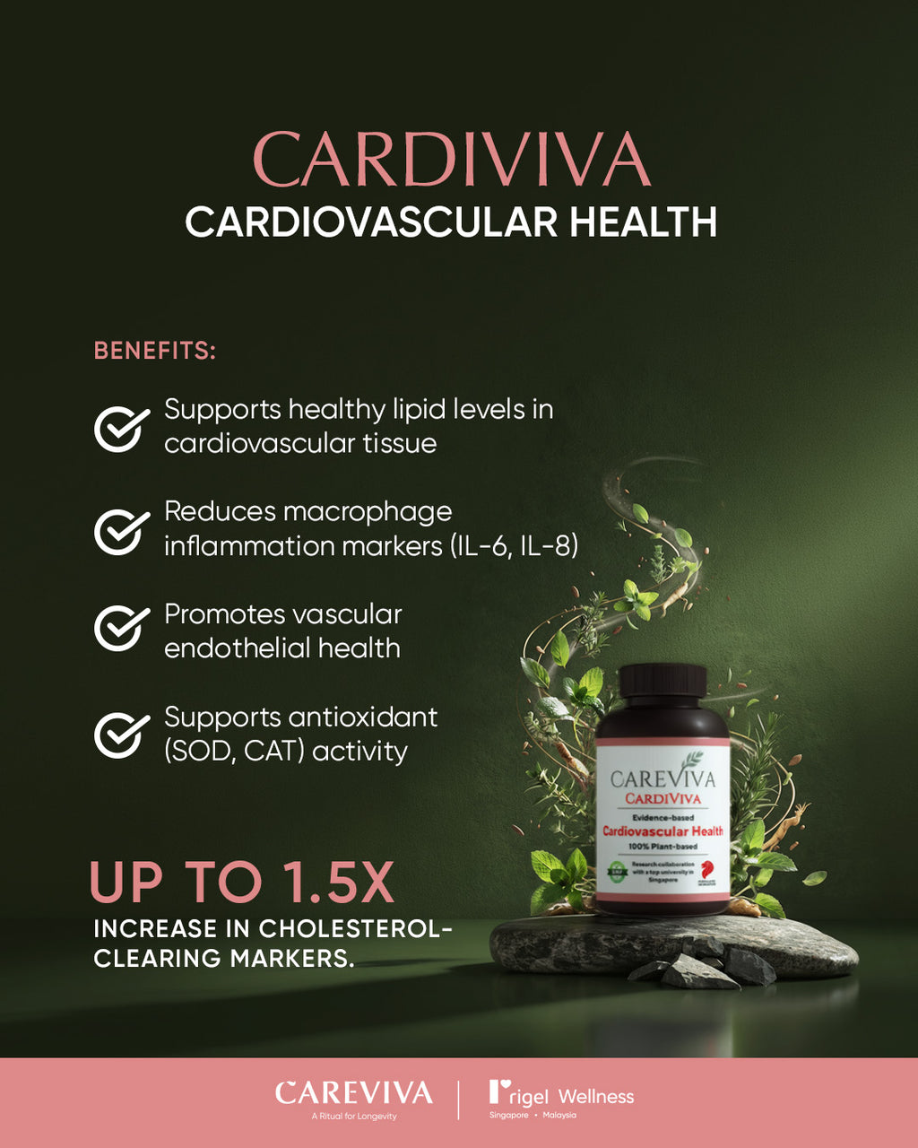 CareViva 12-Month Subcription