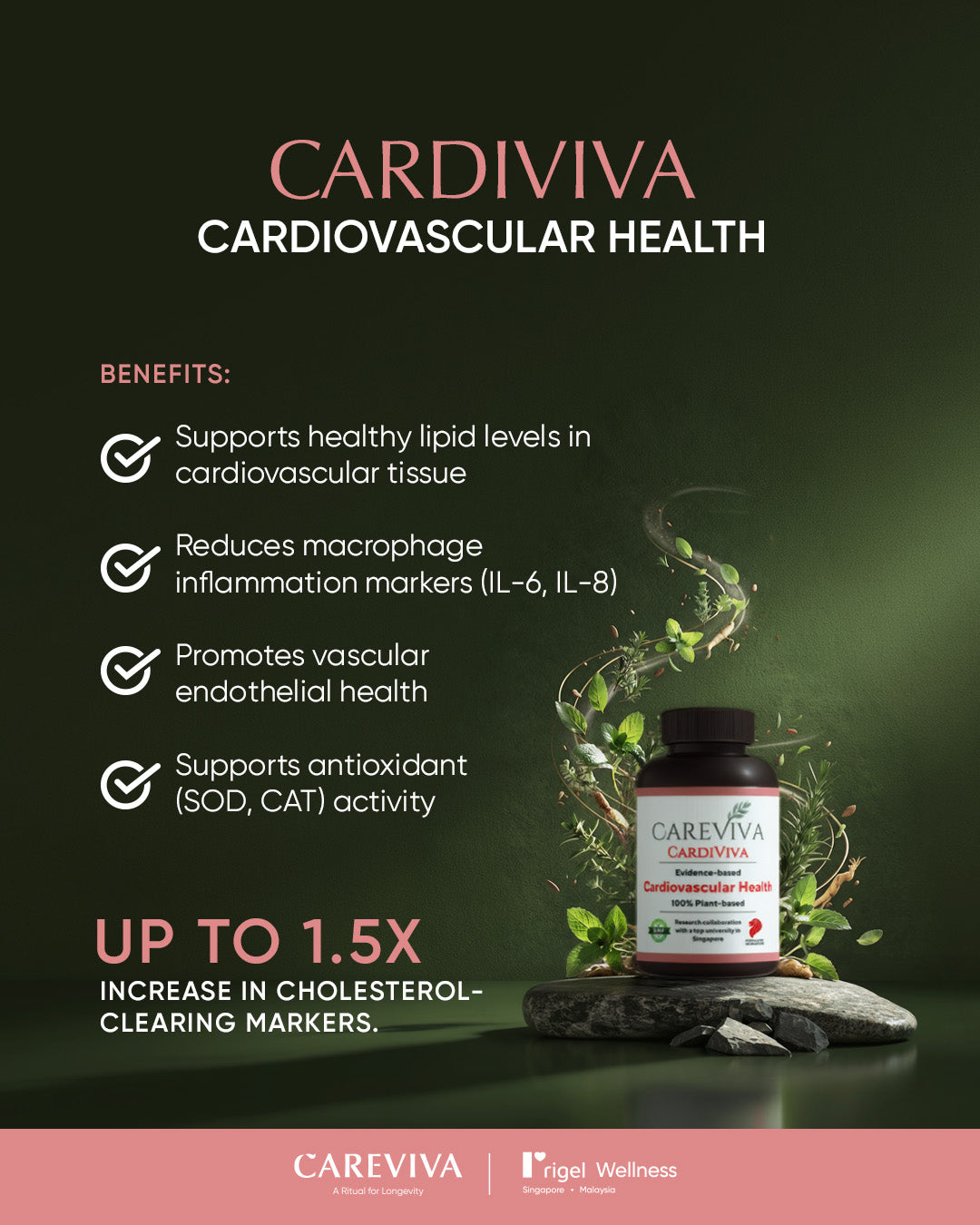 CareViva 12-Month Subcription