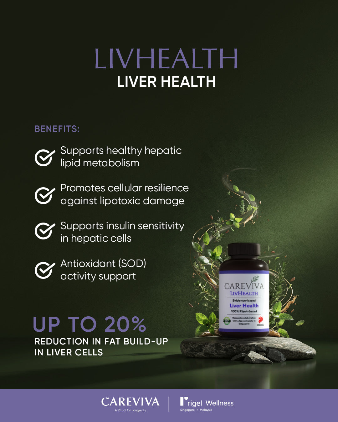 CareViva 12-Month Subcription
